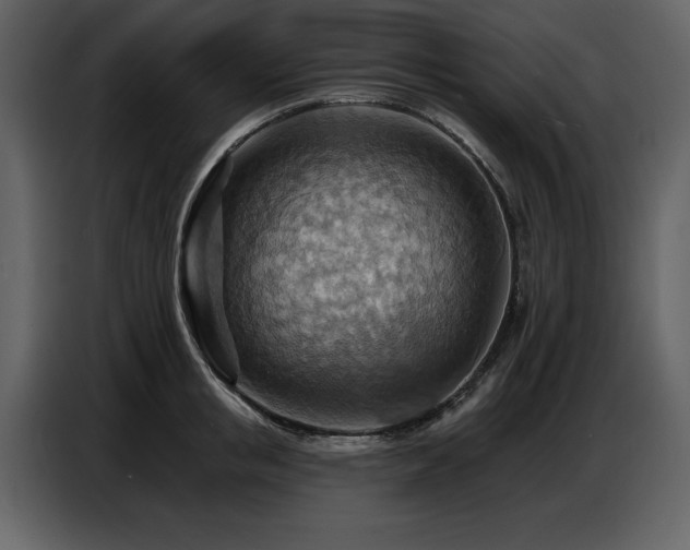 X0000087740853200705071051