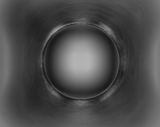 X0000087740854200705071051