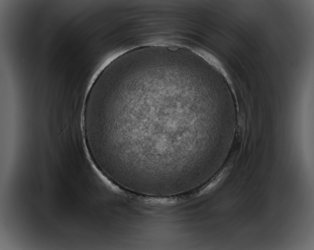 X0000087740855200705071051