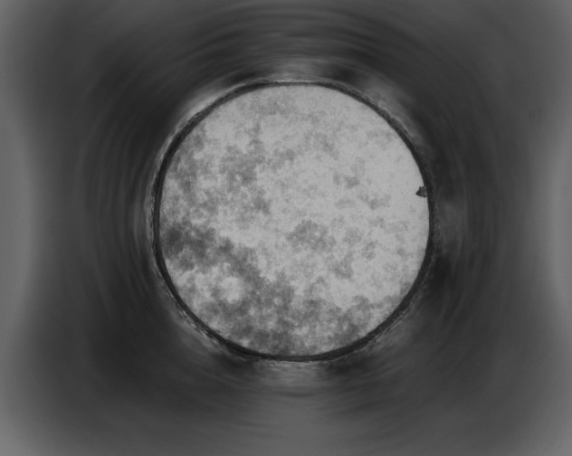 X0000087740856200705071051