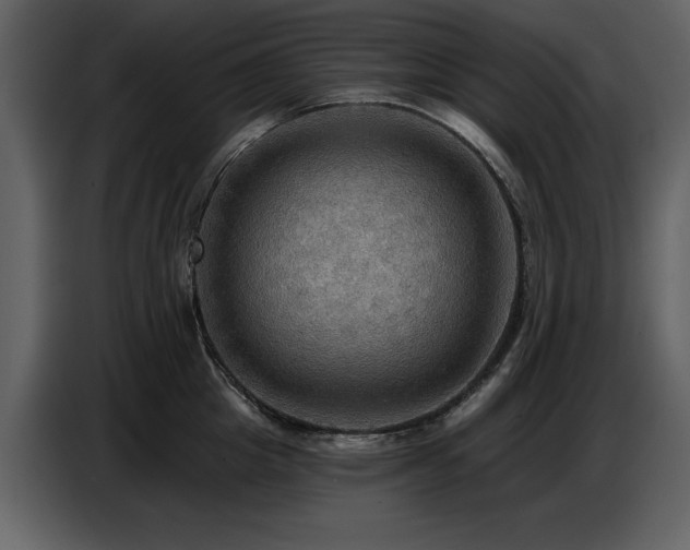 X0000087740857200705071051