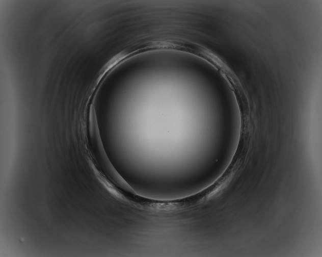 X0000087740858200705071051