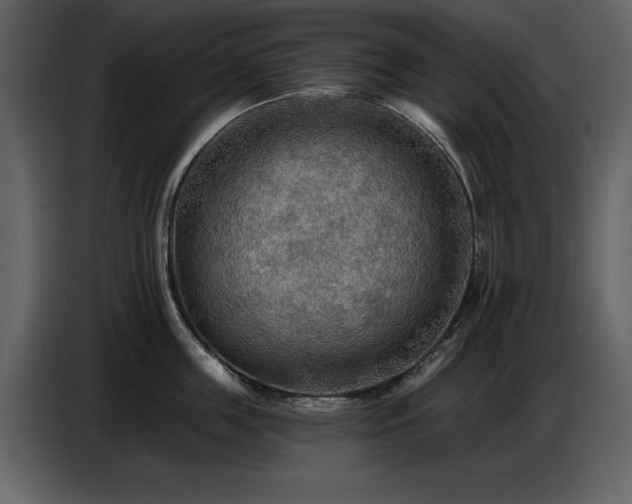 X0000087740859200705071051