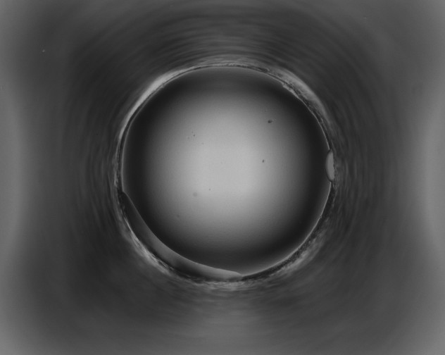 X0000087740860200705071051