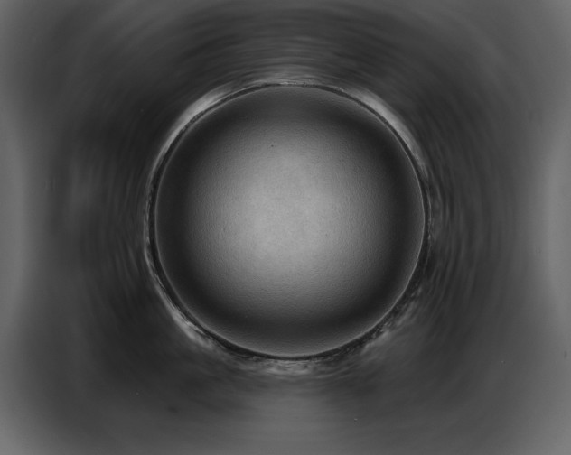 X0000087740861200705071051