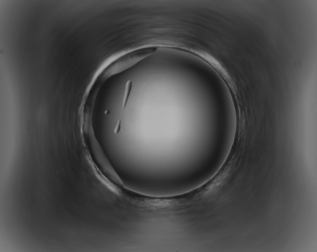 X0000087740862200705071051