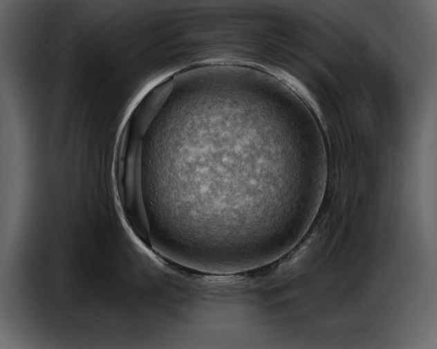 X0000087740863200705071051