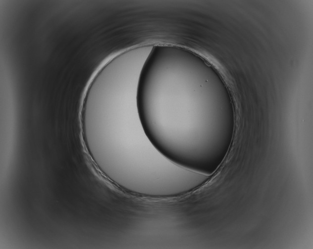 X0000087740864200705071051