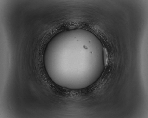 X0000087740865200705071050