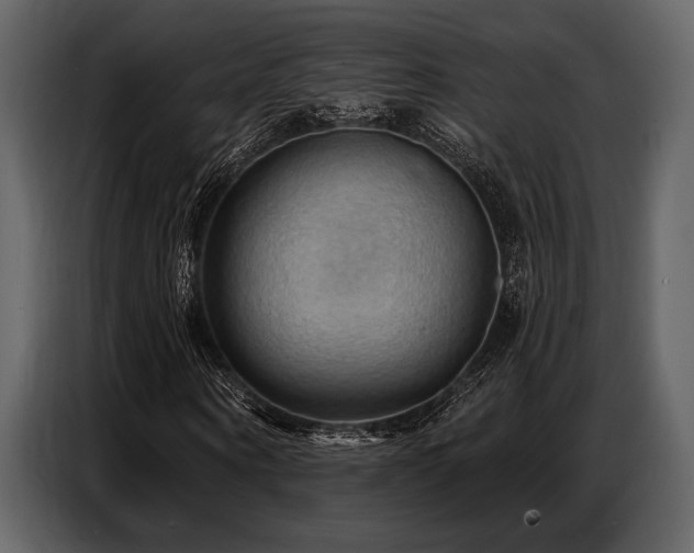 X0000087740866200705071050