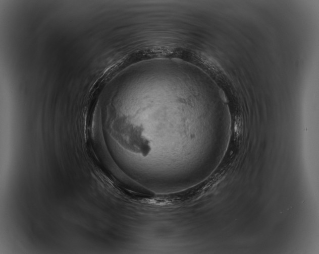 X0000087740867200705071050