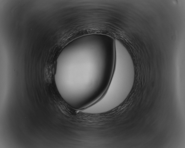 X0000087740868200705071050