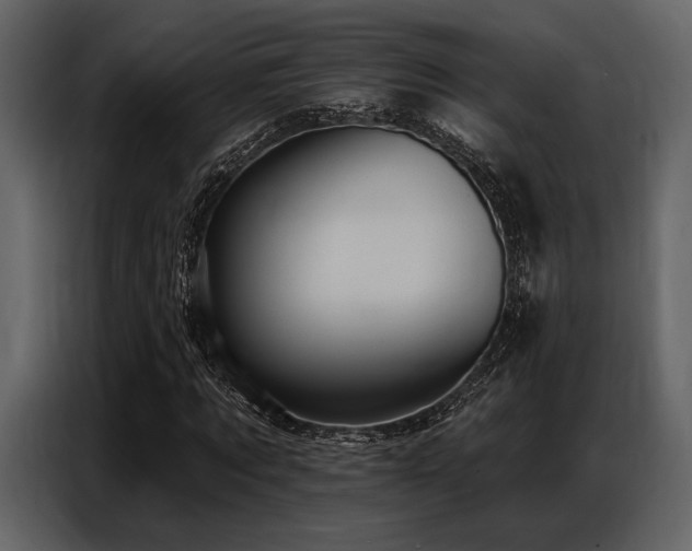 X0000087740869200705071050