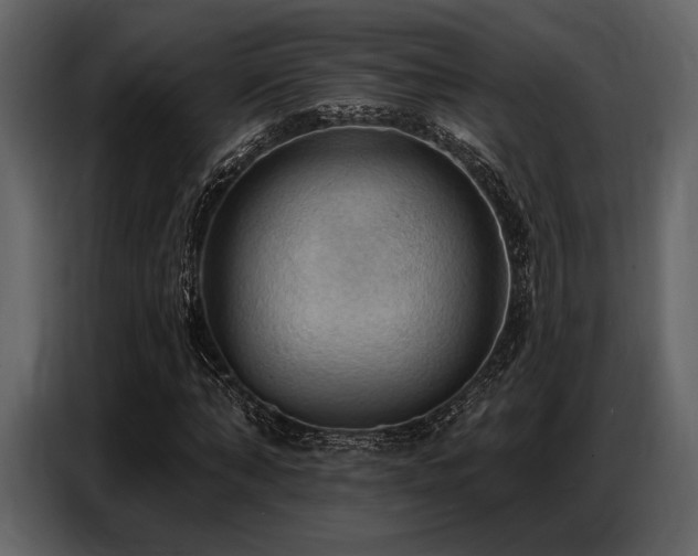 X0000087740870200705071050