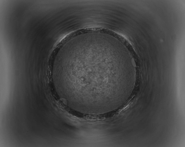 X0000087740871200705071050