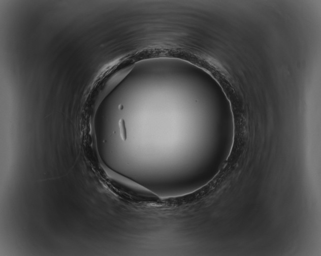 X0000087740872200705071050