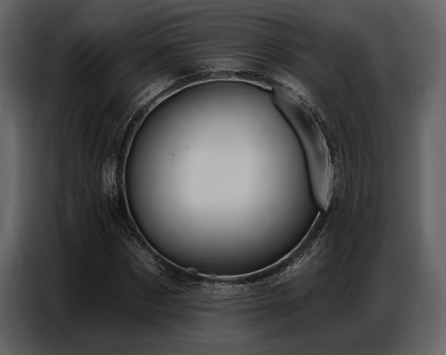 X0000087740873200705071050