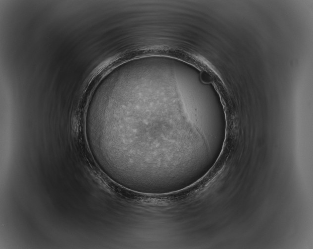 X0000087740874200705071050
