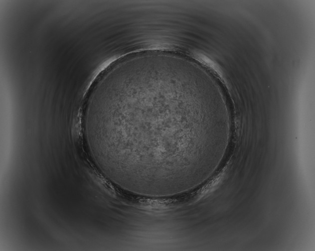 X0000087740875200705071050