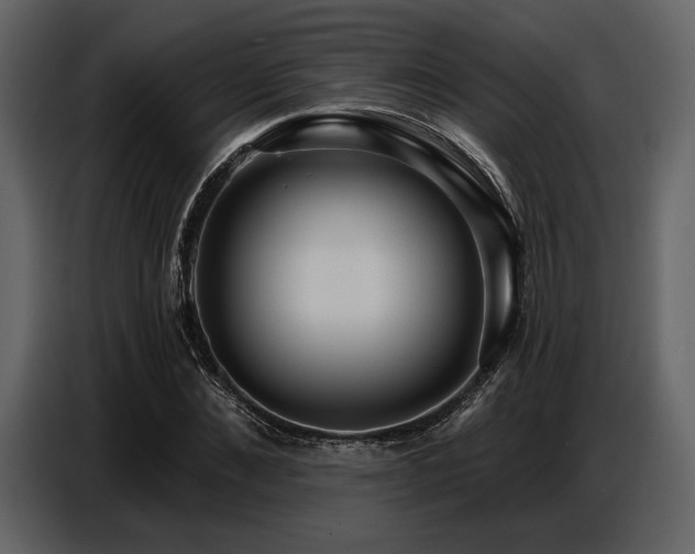 X0000087740876200705071050