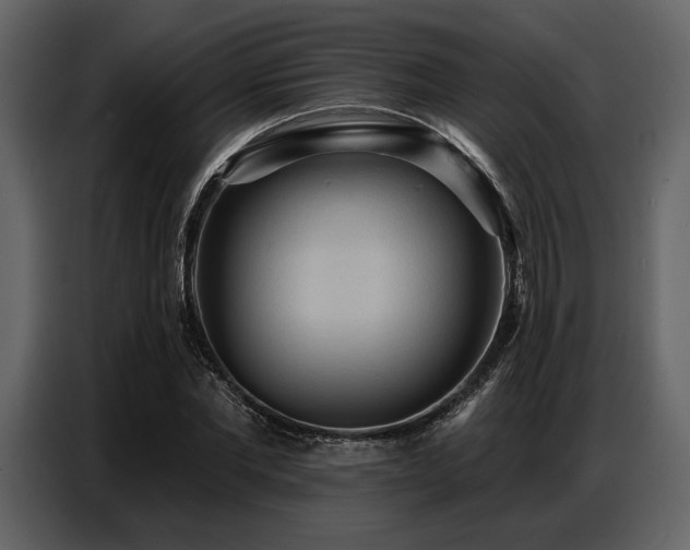 X0000087740877200705071050