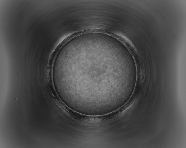 X0000087740878200705071050