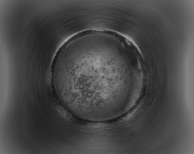 X0000087740879200705071050