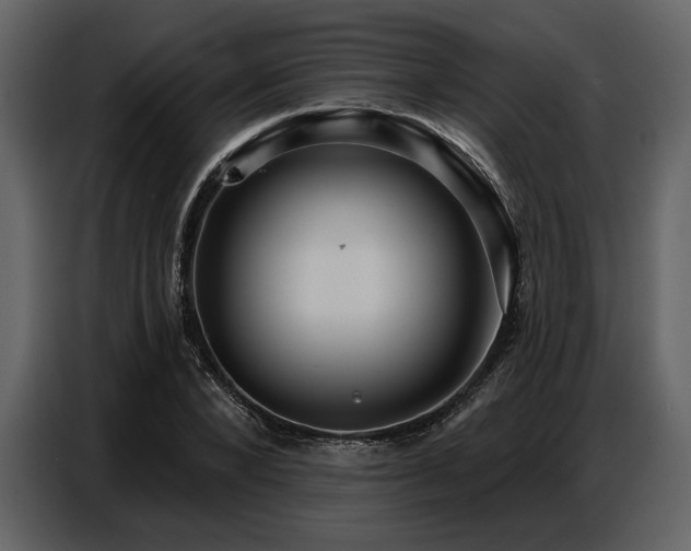 X0000087740880200705071050
