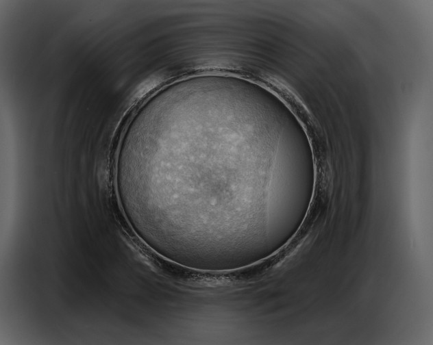 X0000087740882200705071050