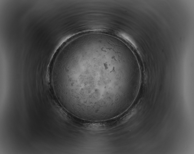 X0000087740883200705071050