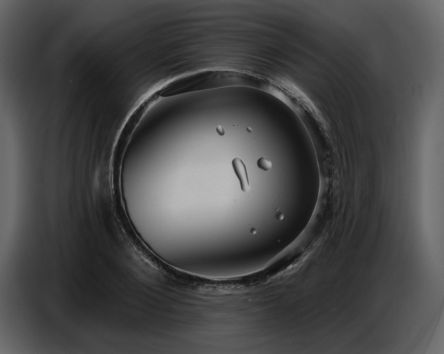X0000087740884200705071050