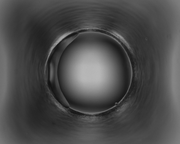 X0000087740885200705071050