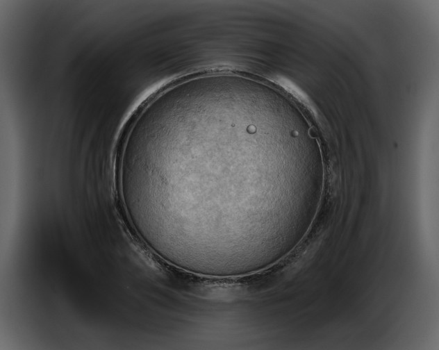 X0000087740886200705071050