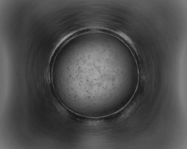 X0000087740887200705071050
