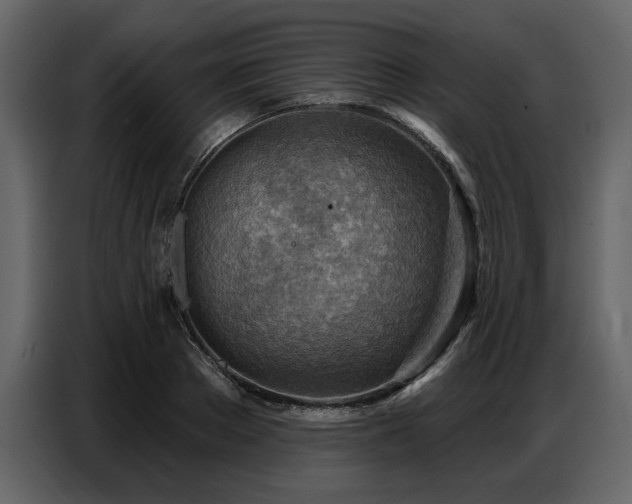 X0000087740889200705071050