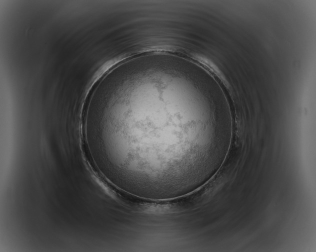 X0000087740890200705071050
