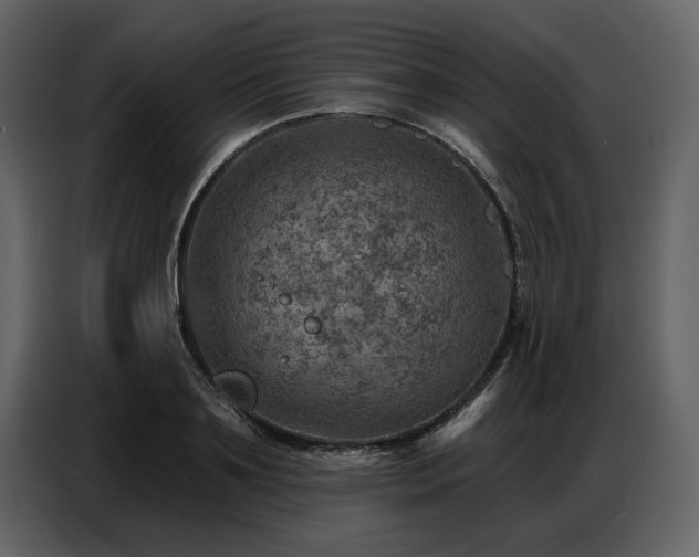 X0000087740891200705071050