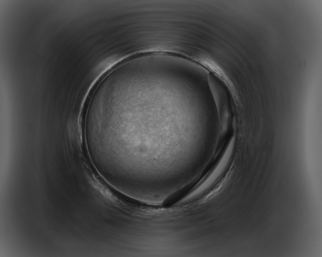 X0000087740892200705071050