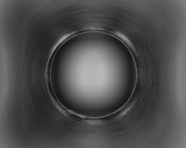 X0000087740893200705071050