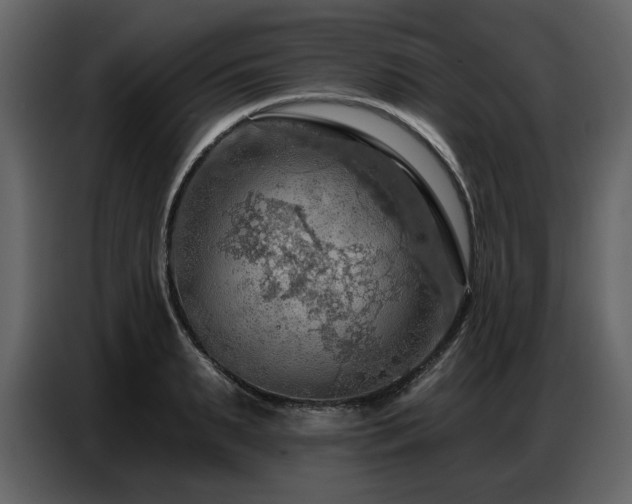 X0000087740895200705071050