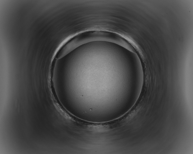 X0000087740896200705071050
