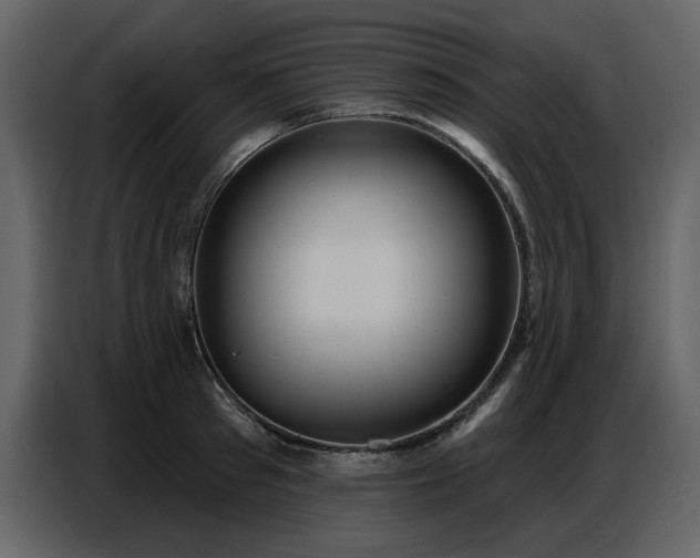 X0000087740897200705071050