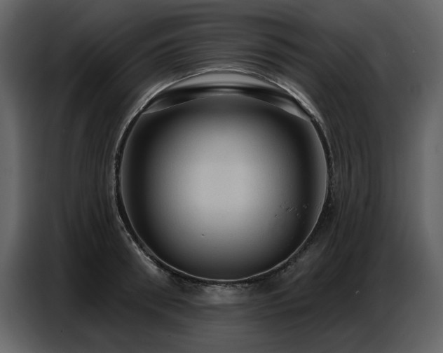 X0000087740898200705071050
