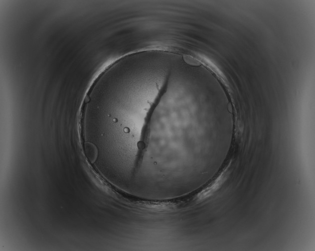 X0000087740899200705071050