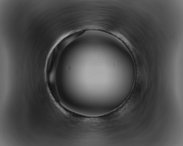 X0000087740902200705071050