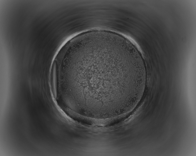 X0000087740903200705071050