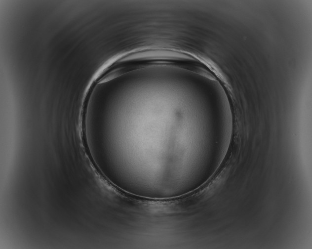 X0000087740904200705071050