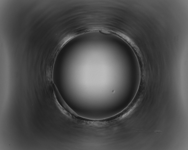 X0000087740905200705071050