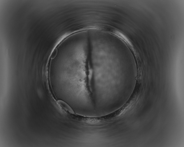 X0000087740907200705071050