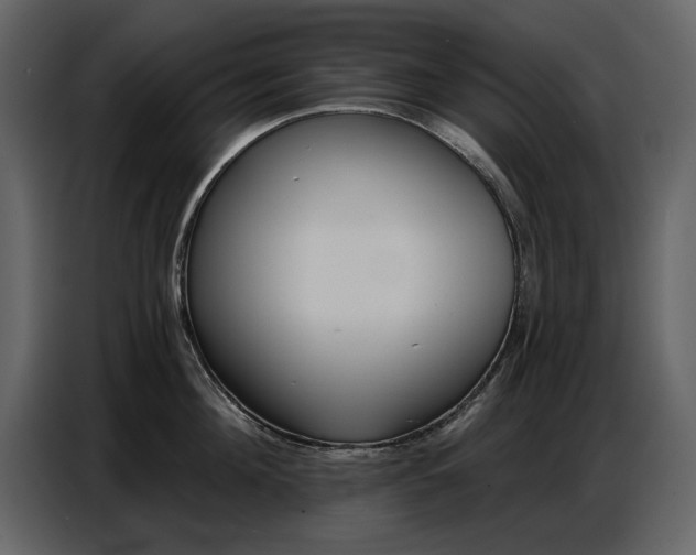 X0000087740908200705071050